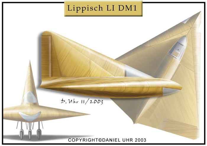 Lippisch Li DM-1 (hình hoạ)